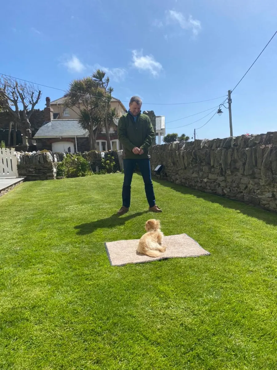 An owner practising a settle with their small dog on a mat during a private session in a garden